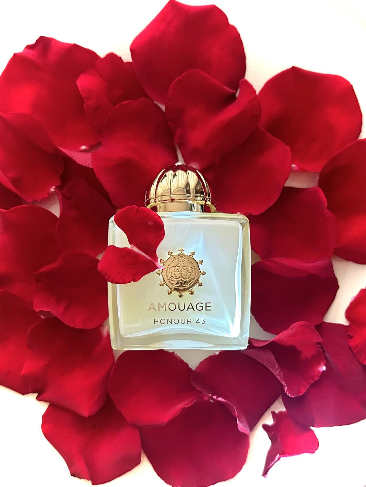 عطر أمواج هونر 43 وومان إكستري - مراجعة Perfume Fragrance Families وسعره
