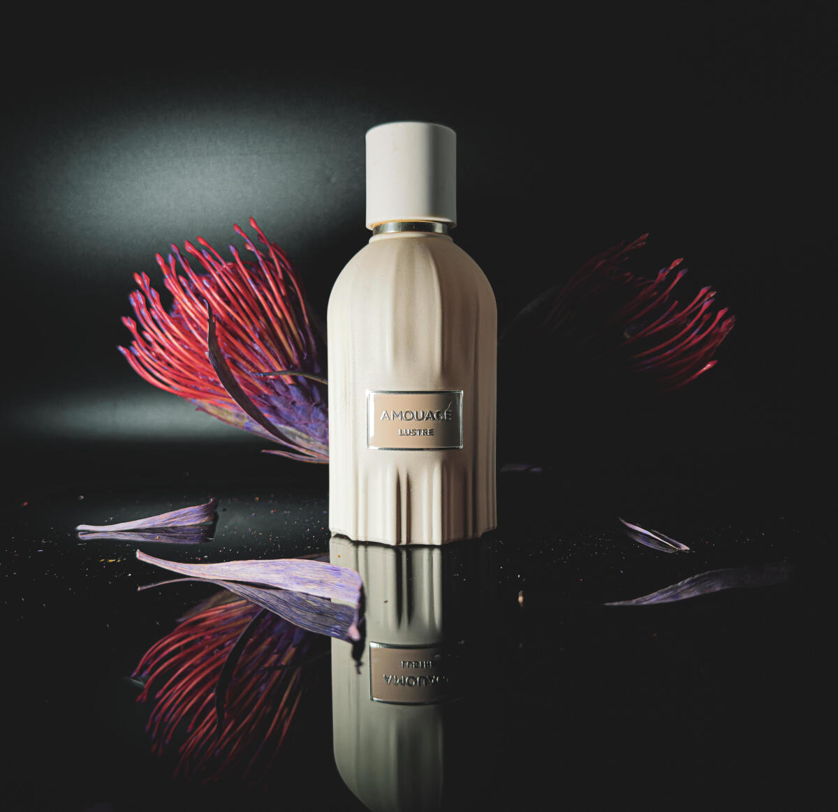 عطر أمواج لوستر 100 مل، عطر فا - مراجعة Perfume Fragrance Families وسعره