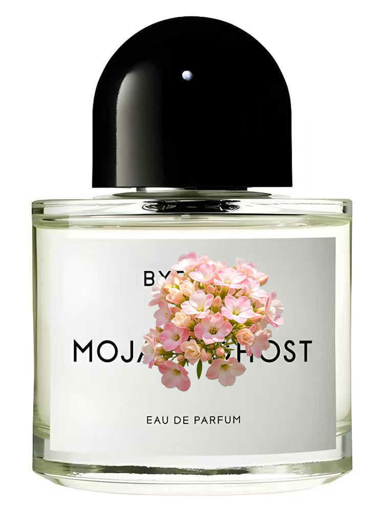 عطر للجنسين 100 مل 3.4 أونصة س - مراجعة Perfume Fragrance For Women وسعره